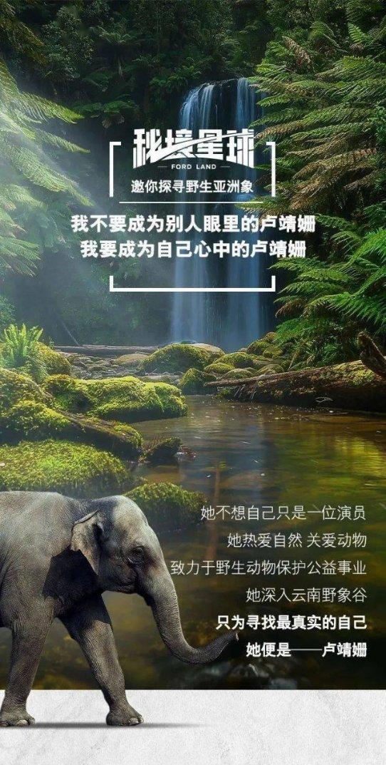 《爸爸去哪儿》的张亮靠什么生活？